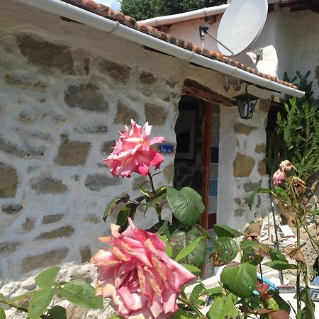 Villa D'Arte Mortola Superiore Номер фото