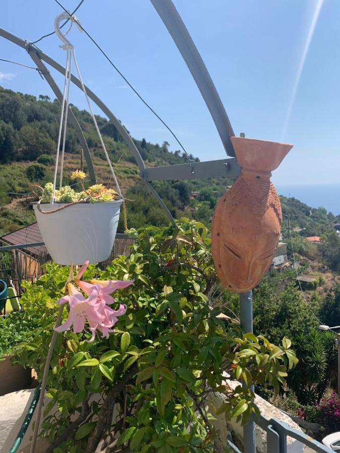 Villa D'Arte Mortola Superiore Экстерьер фото